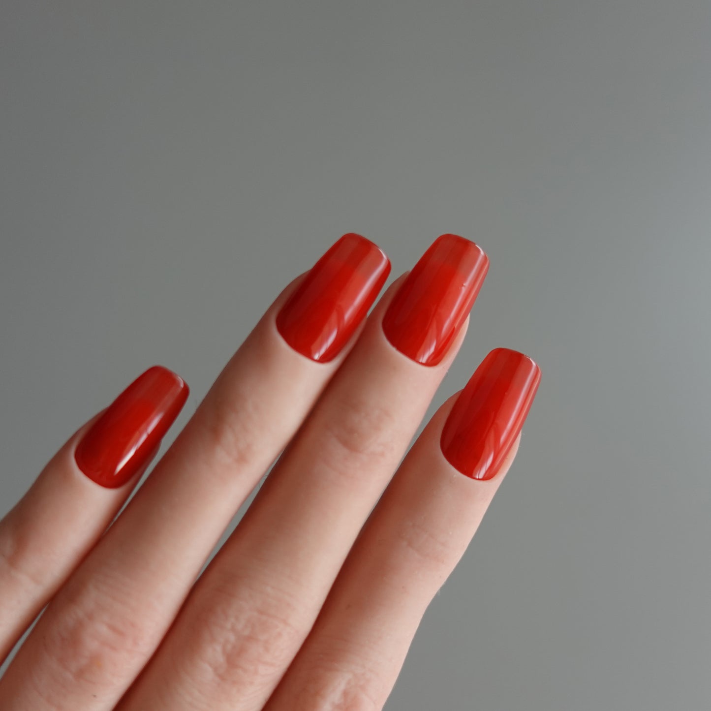 🌈 Chromatic Symphony — Tomato Ember 2511922