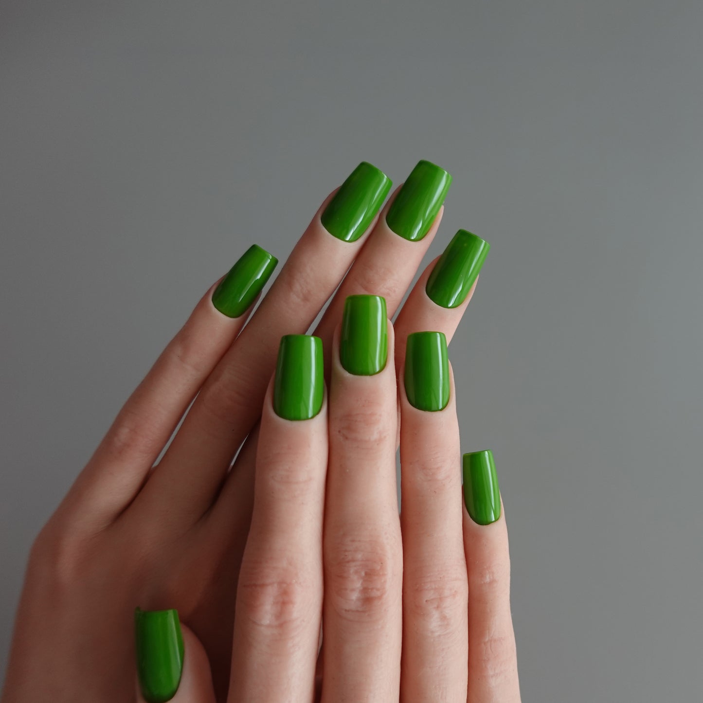 🌈 Chromatic Symphony — Verdant Pulse 2511931