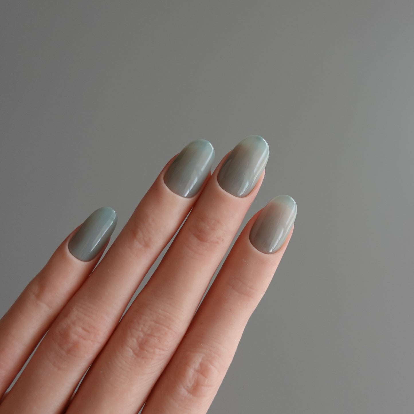 🌈 Chromatic Symphony — Sage Veil 2511945