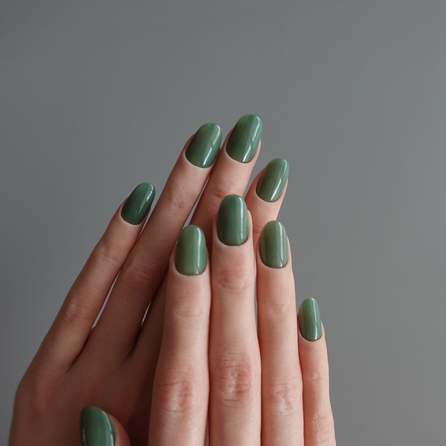 🌈 Chromatic Symphony — Misty Forest 2511969