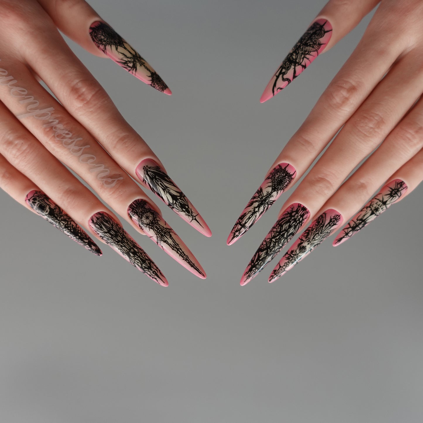 🖤 Venomous Lace  2509111