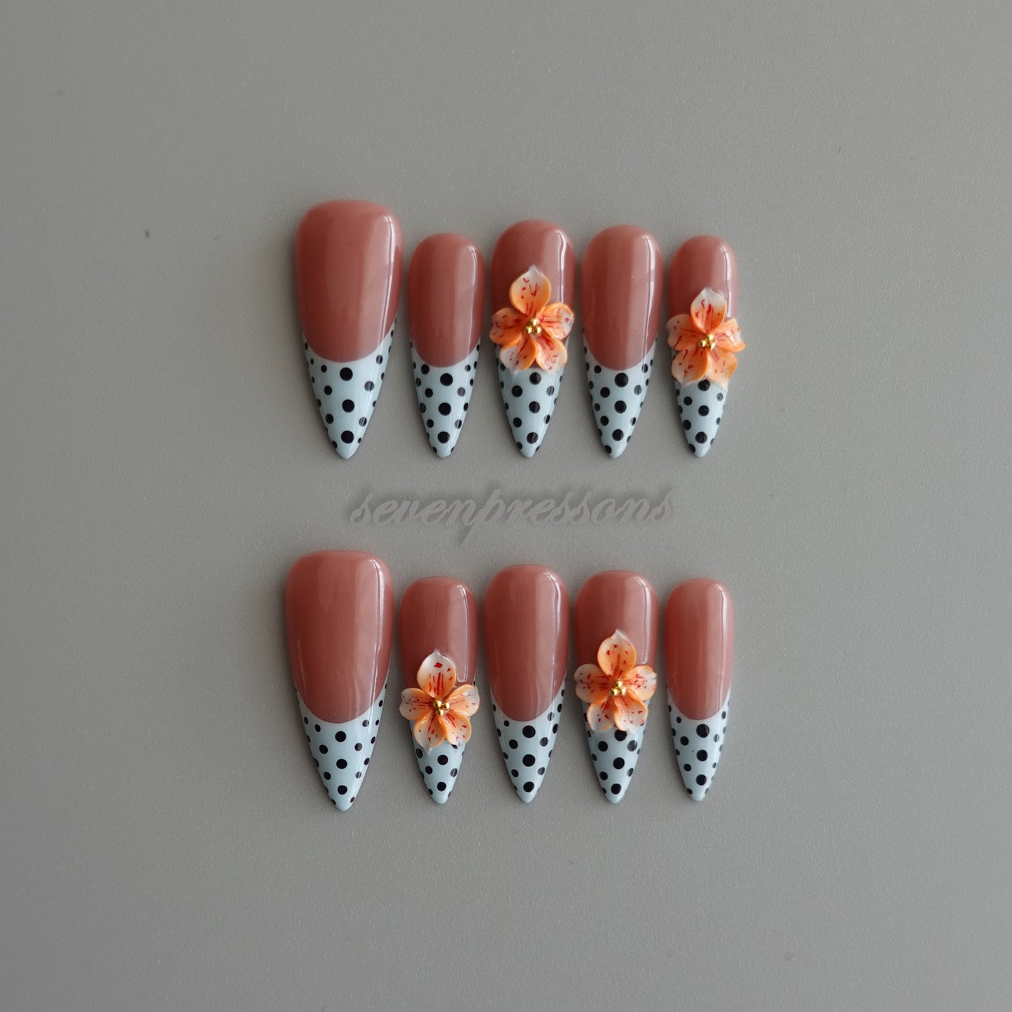 🍑 アプリコット・ポルカブルーム   2602031