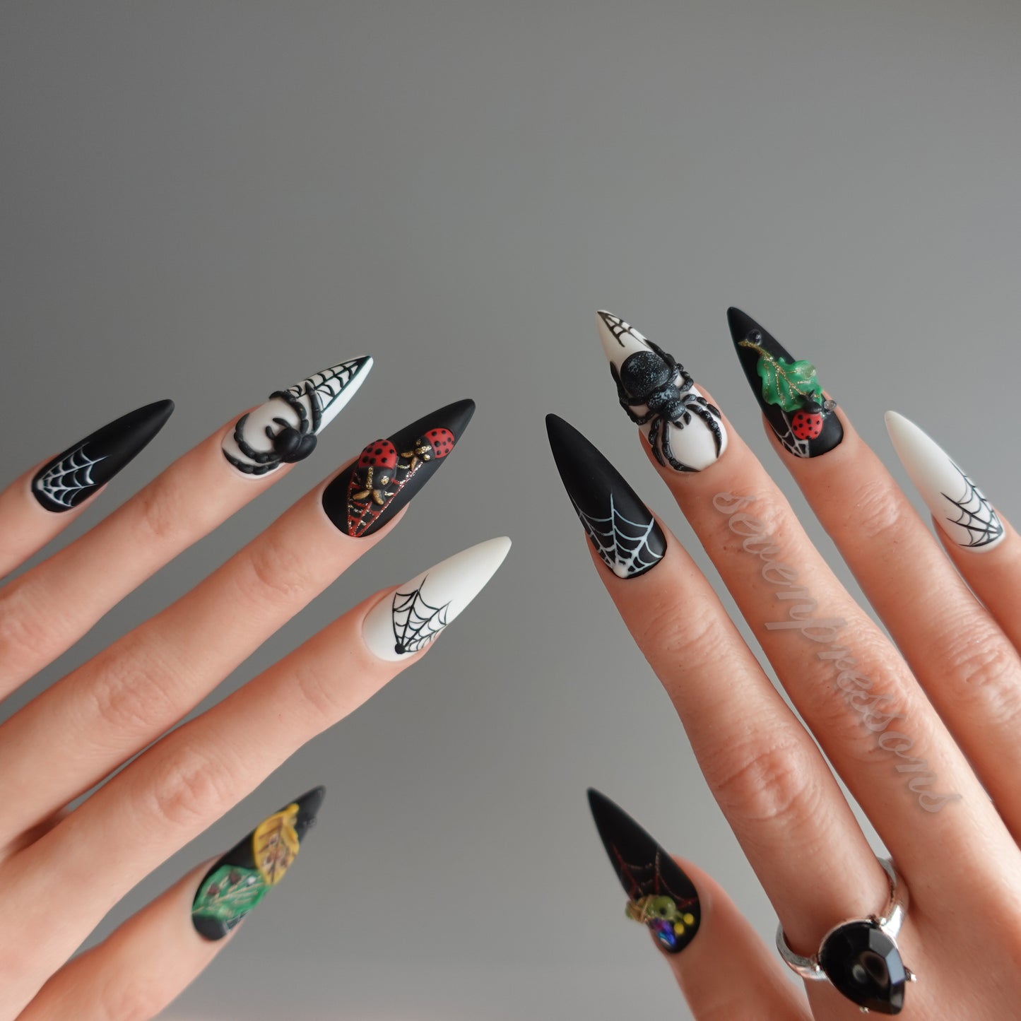 🌑 Widow’s Web  2510151