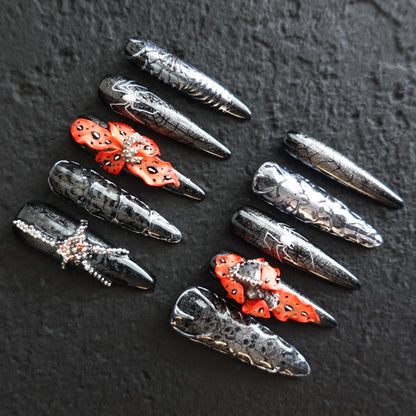 🕷️ Widow’s Web  2509113