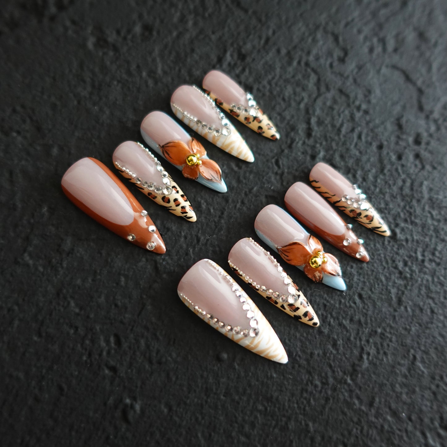 🐆 Safari Orchid  2509274