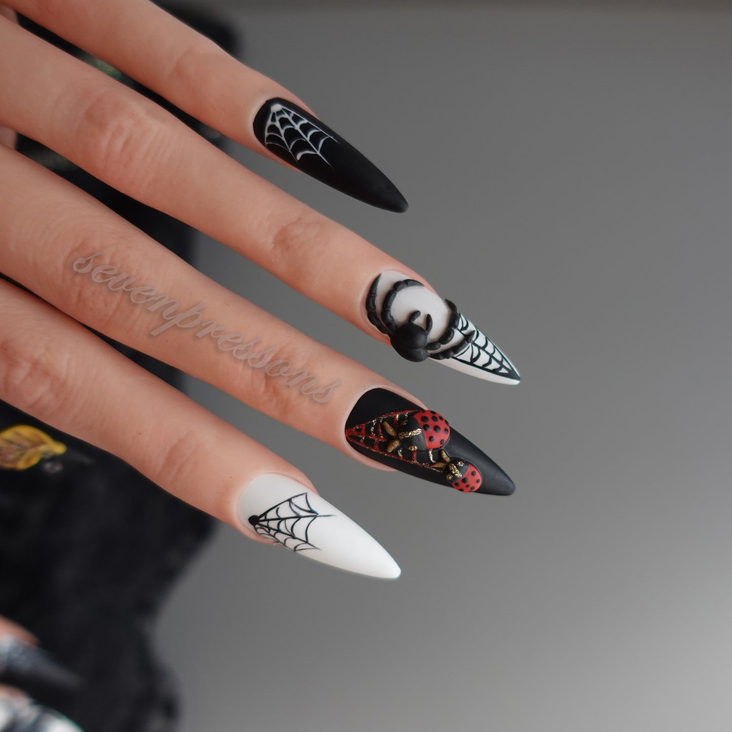 🌑 Widow’s Web  2510151