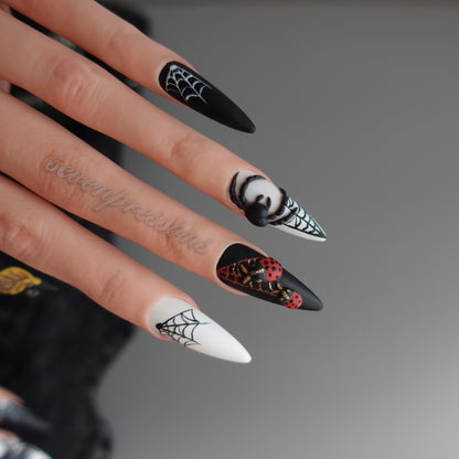 🌑 Widow’s Web  2510151