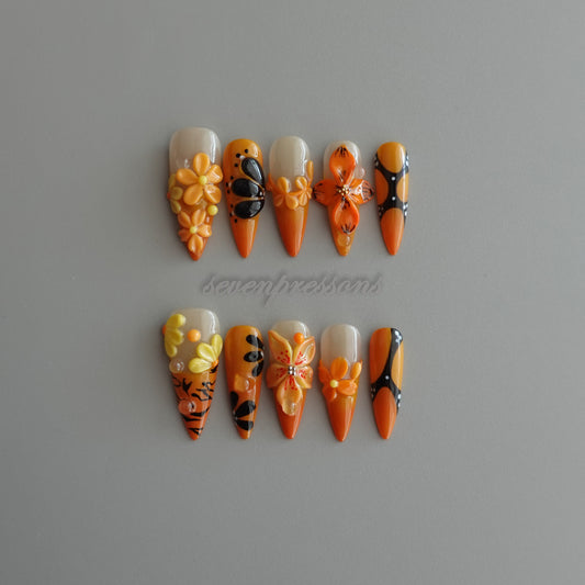 ✦ Solar Bloom Ember  2512117