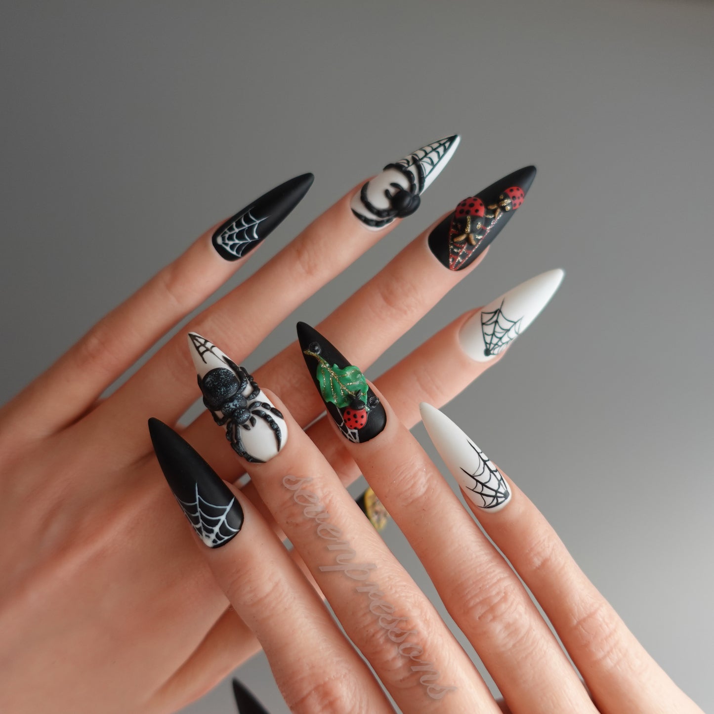 🌑 Widow’s Web  2510151