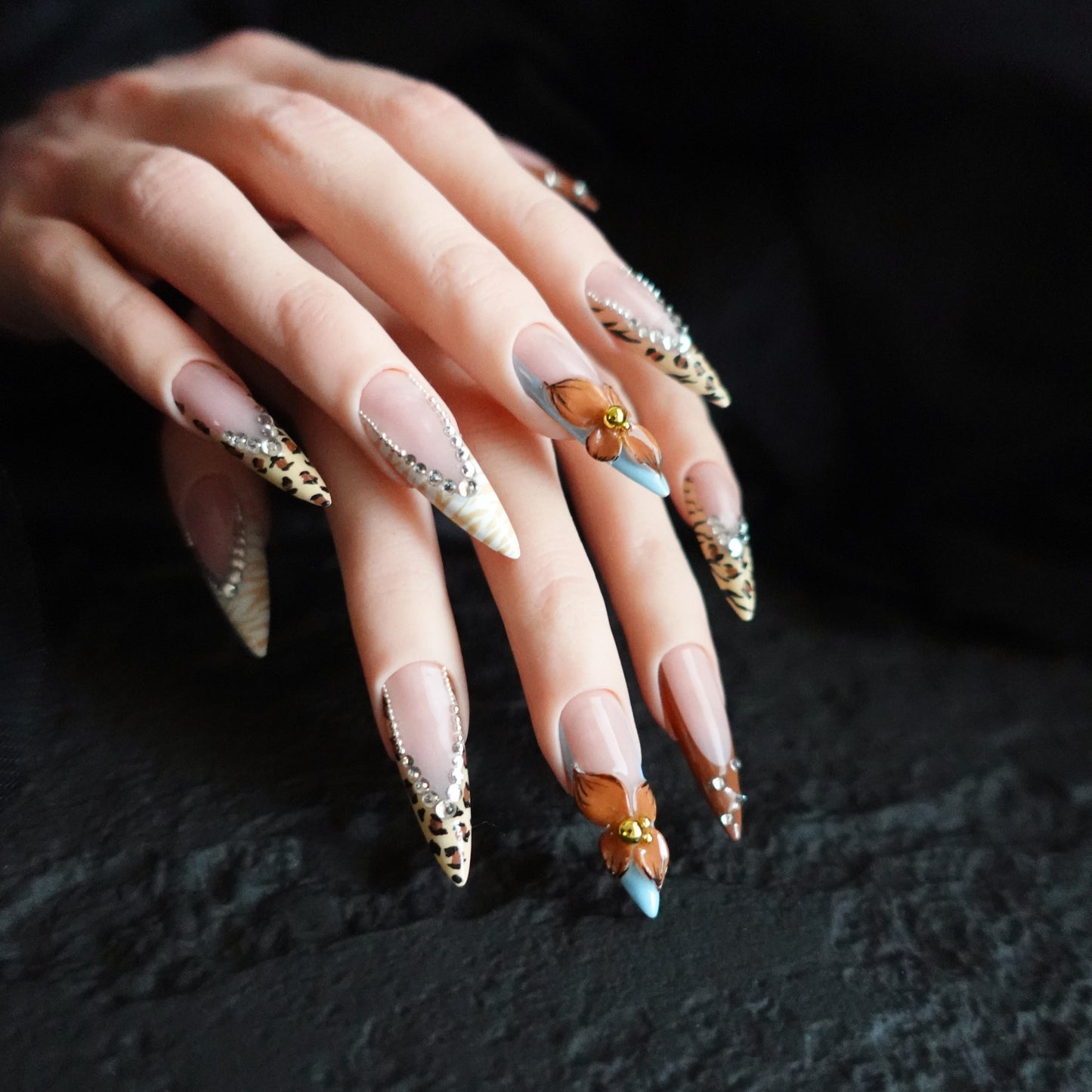 🐆 Safari Orchid  2509274