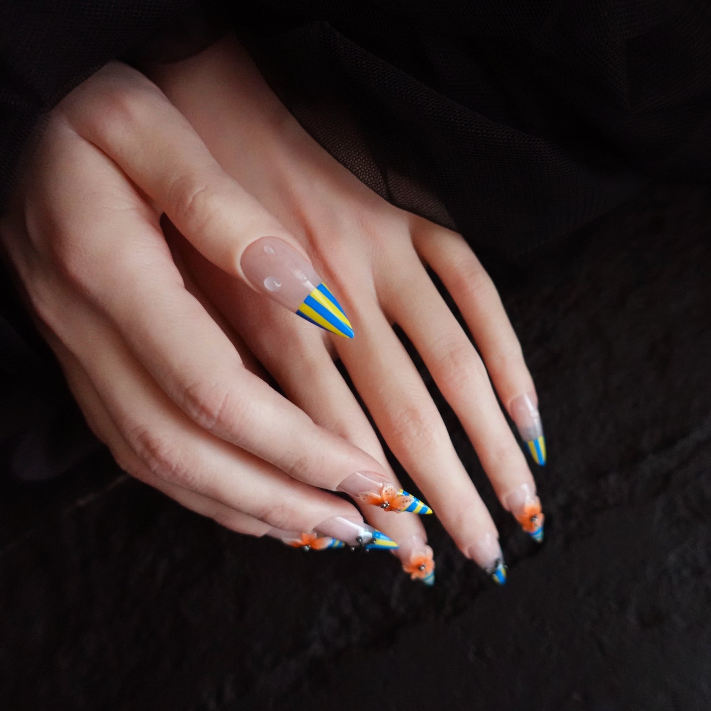 Regatta Blossom  2509273