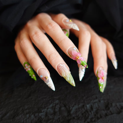 🌿 Sakura Meadow  2509286