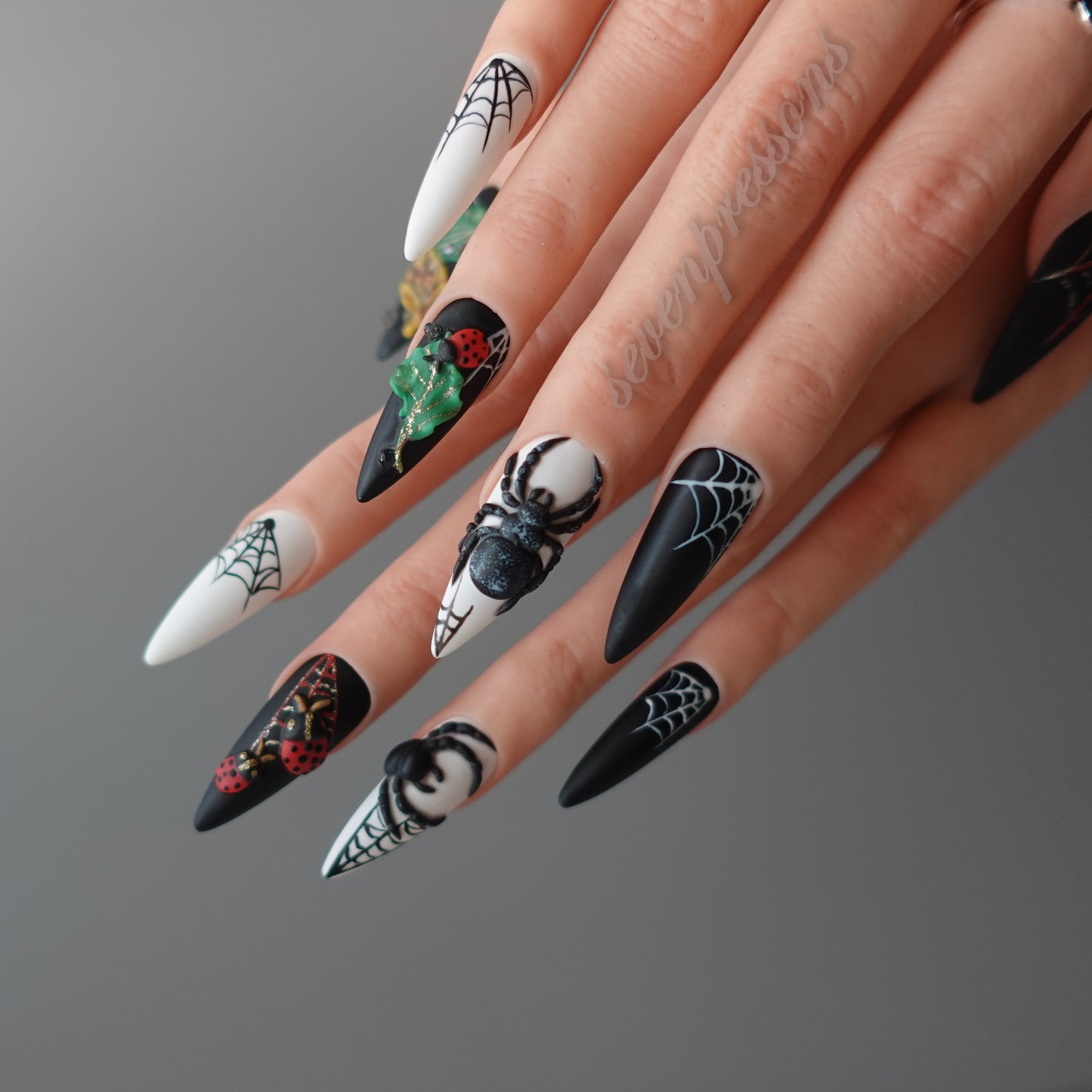 🌑 Widow’s Web  2510151