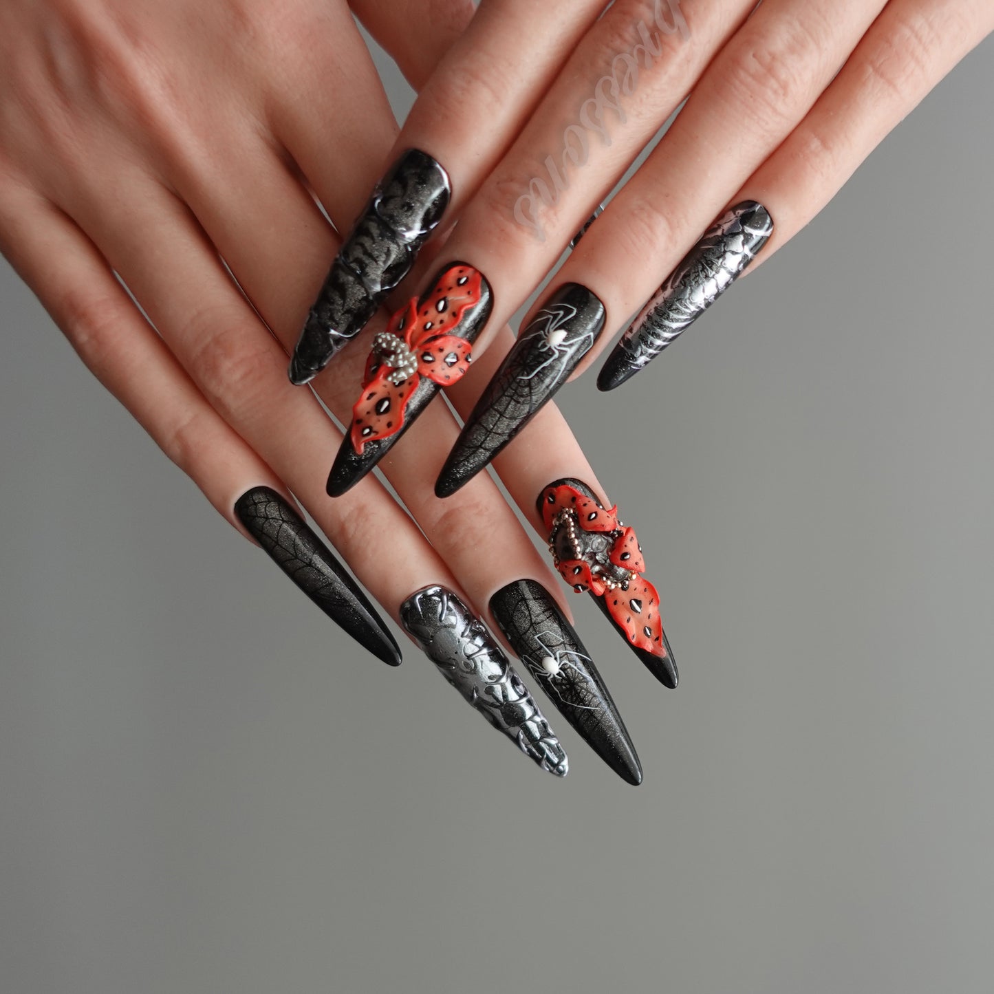 🕷️ Widow’s Web  2509113