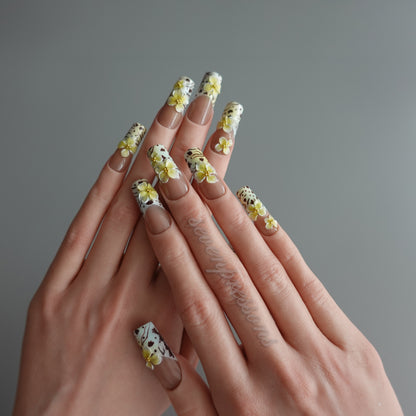 🌼 Blooming Dusk Garden 777  2511282