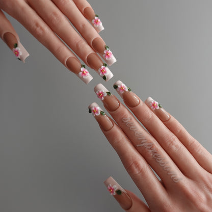 🌸 Blush Petal Daydream  2512280