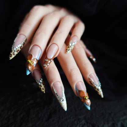 🐆 Safari Orchid  2509274