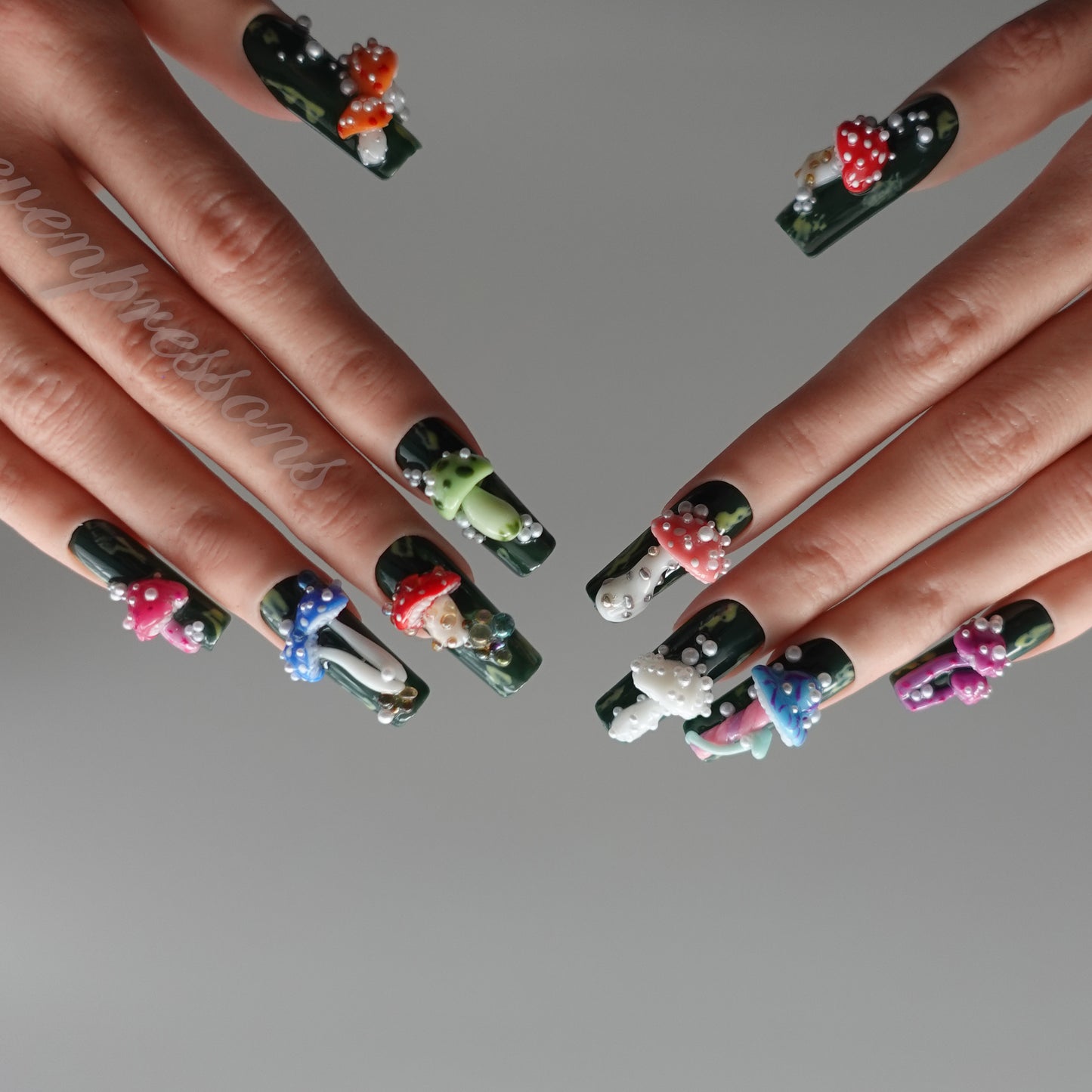 🍄 魔菌の庭　2512351