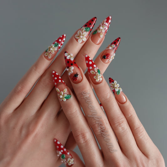 🌼 Ladybug Picnic — Press-On Nail Set  2510237