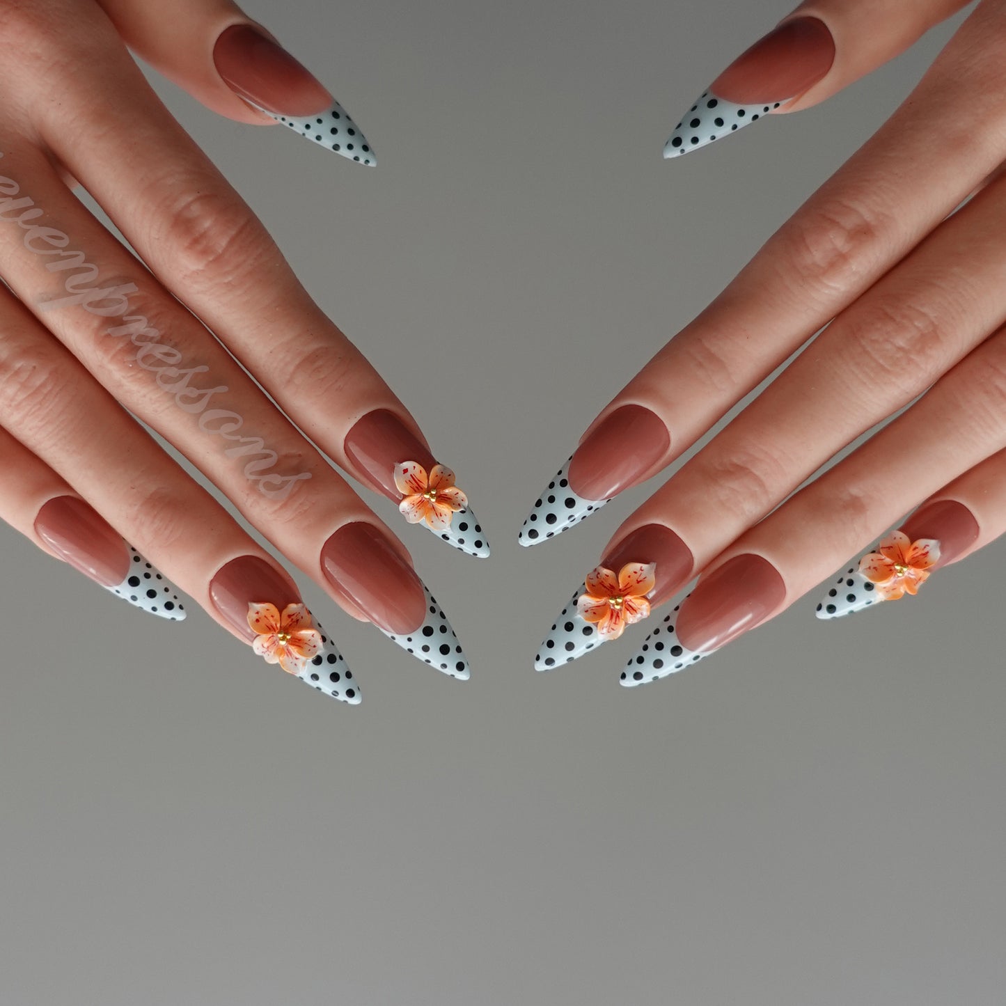 🍑 アプリコット・ポルカブルーム   2602031