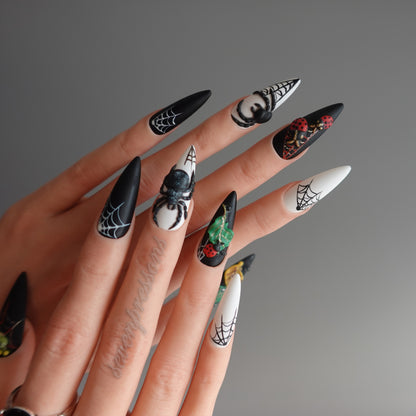 🌑 Widow’s Web  2510151