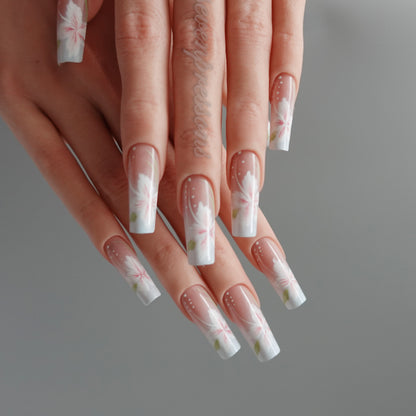 🌸 Blossom Serenity  2510239