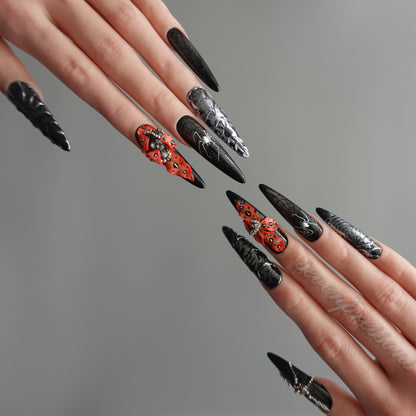 🕷️ Widow’s Web  2509113