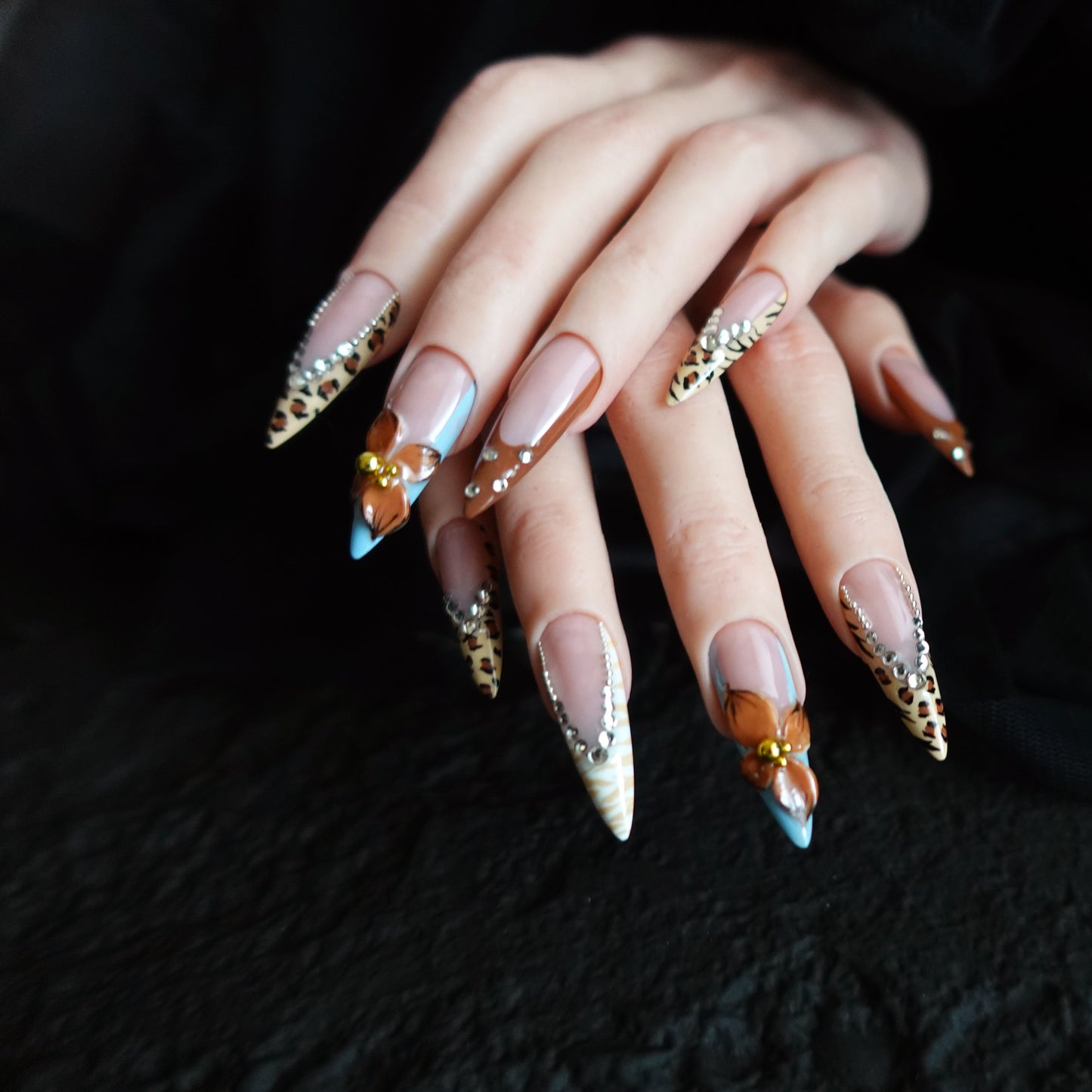 🐆 Safari Orchid  2509274