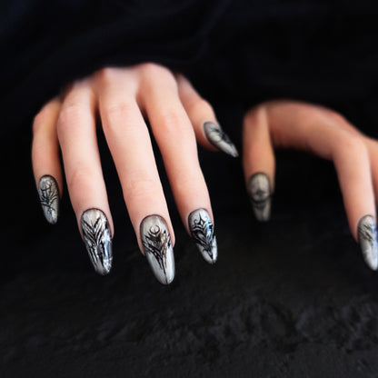 🕷Shadowmark  2508051