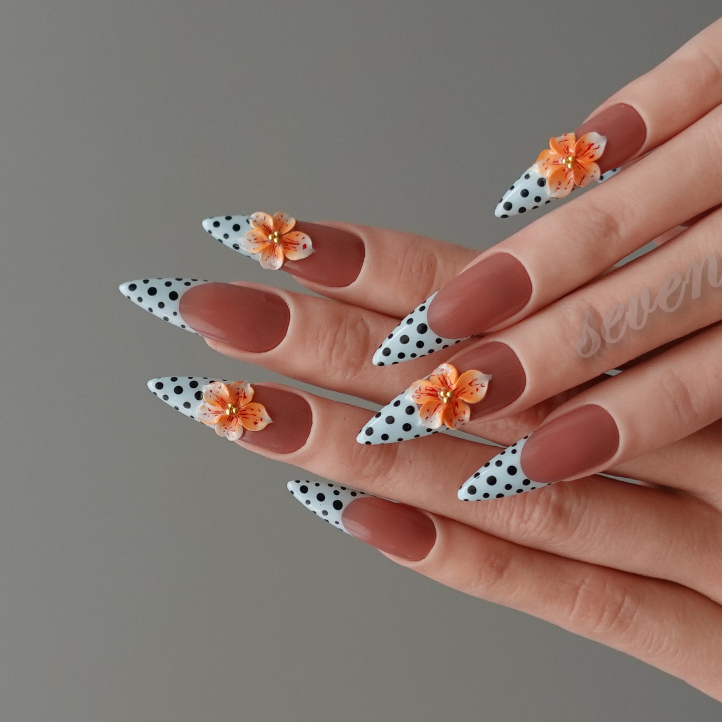 🍑 アプリコット・ポルカブルーム   2602031