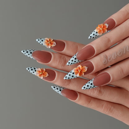 🍑 アプリコット・ポルカブルーム   2602031