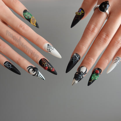 🌑 Widow’s Web  2510151