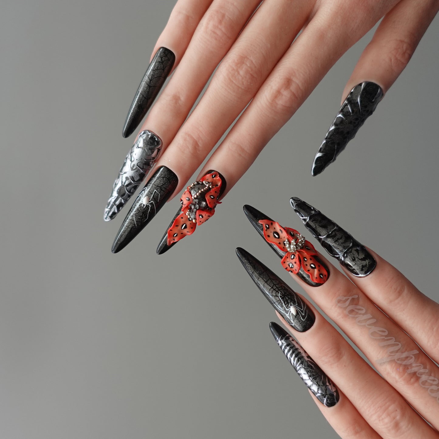 🕷️ Widow’s Web  2509113