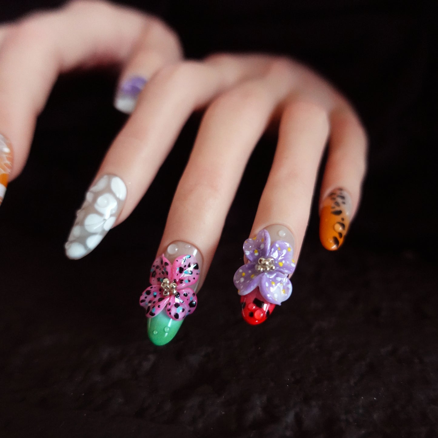 🌼 Product Name: Safari Petals  2507256