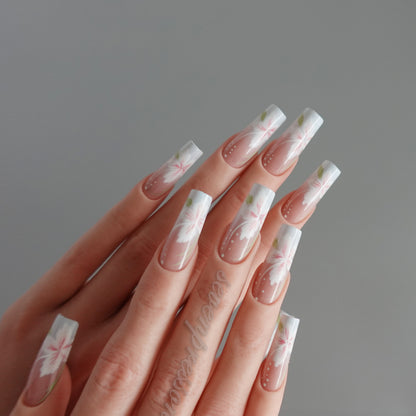 🌸 Blossom Serenity  2510239