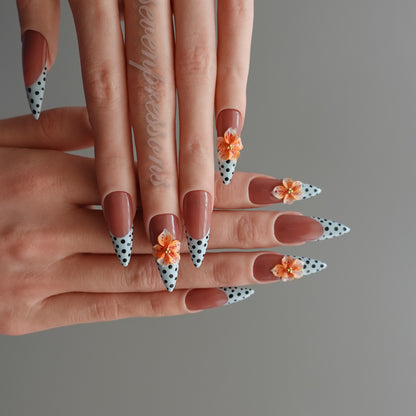 🍑 アプリコット・ポルカブルーム   2602031