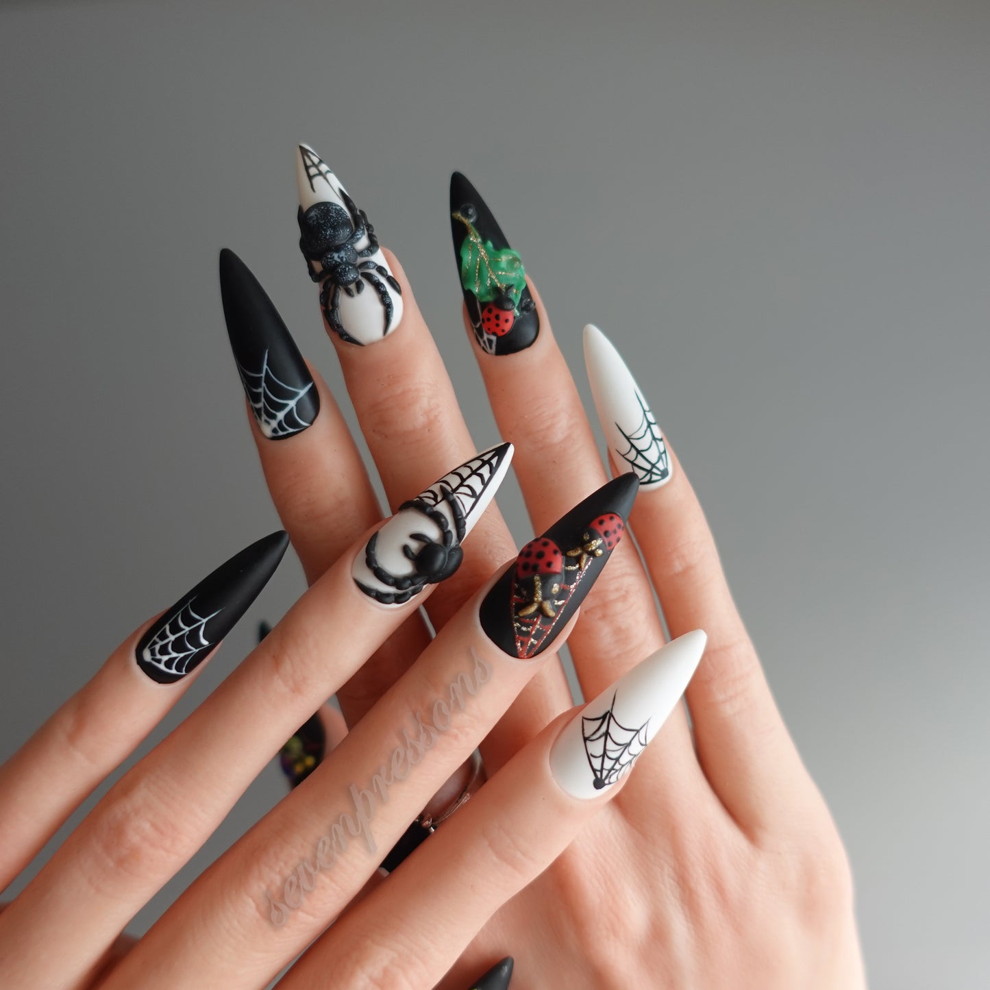 🌑 Widow’s Web  2510151