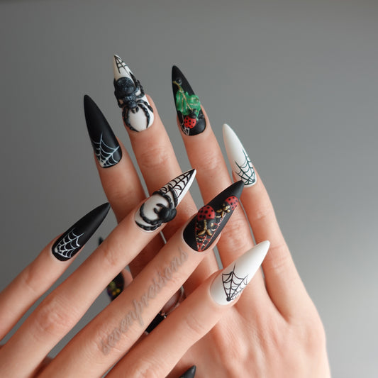 🌑 Widow’s Web  2510151