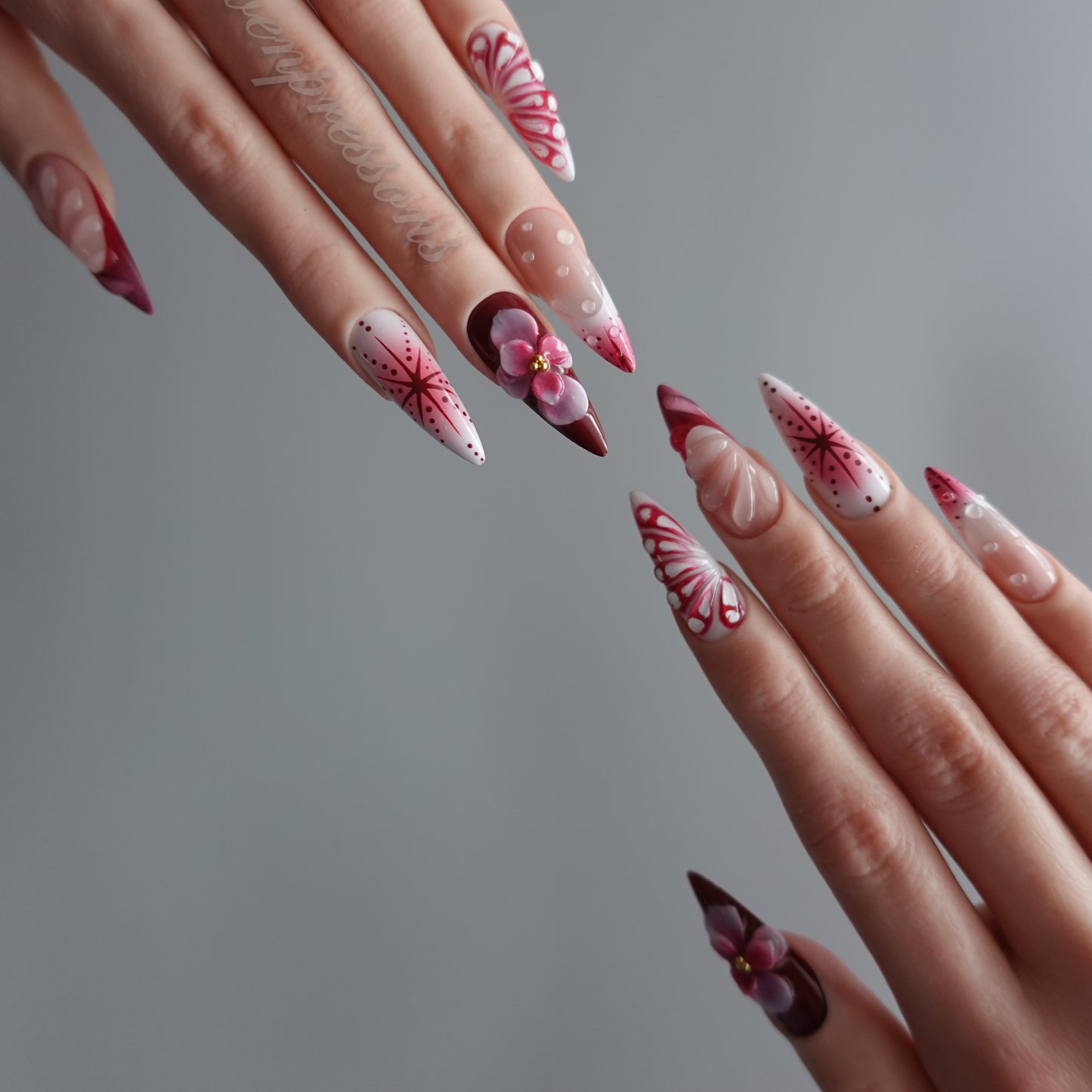 🌺 Crimson Petal Reverie  2512227