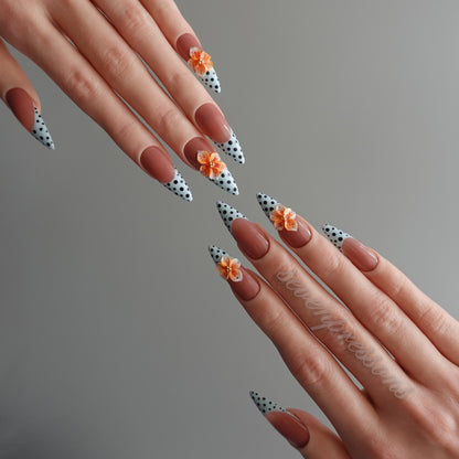 🍑 アプリコット・ポルカブルーム   2602031