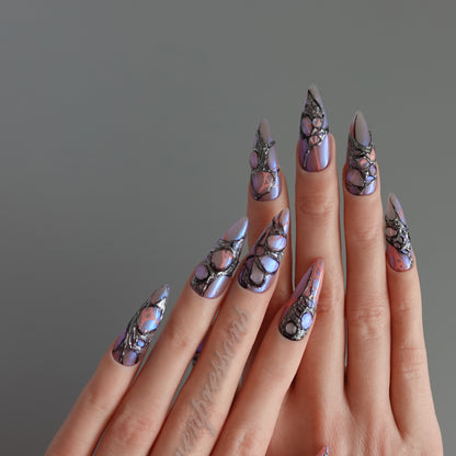 🕷️ Widow’s Web  2510248