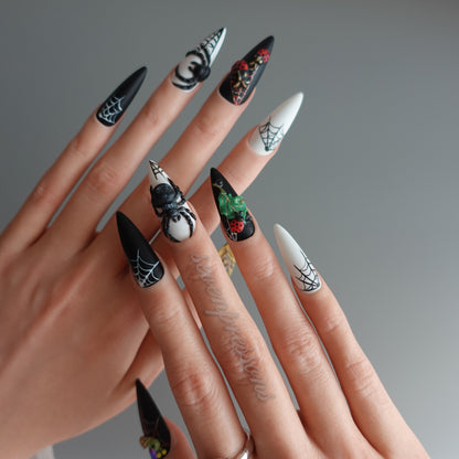 🌑 Widow’s Web  2510151