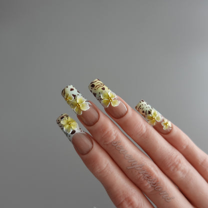 🌼 Blooming Dusk Garden 777  2511282