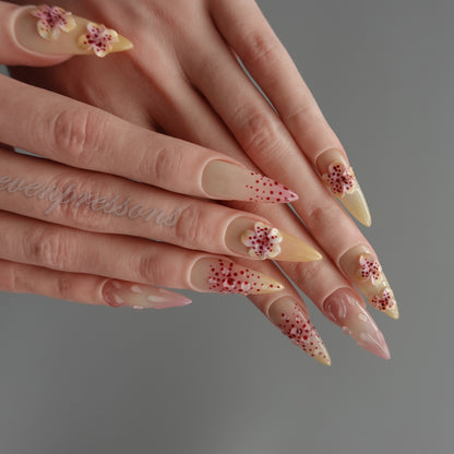 🌸 Petal Whisper Reverie  2512289