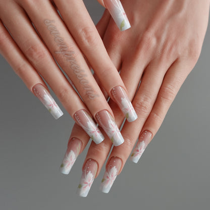 🌸 Blossom Serenity  2510239