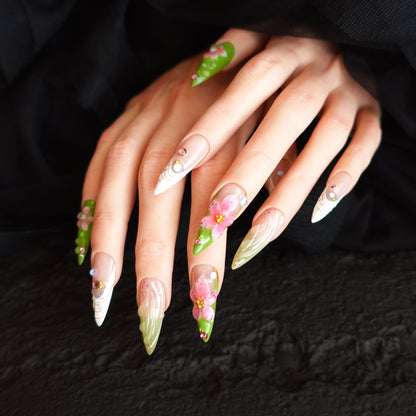 🌿 Sakura Meadow  2509286