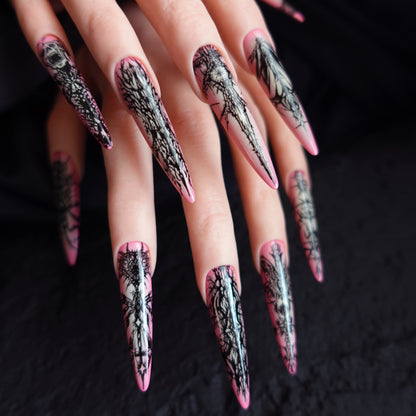 🖤 Venomous Lace  2509111