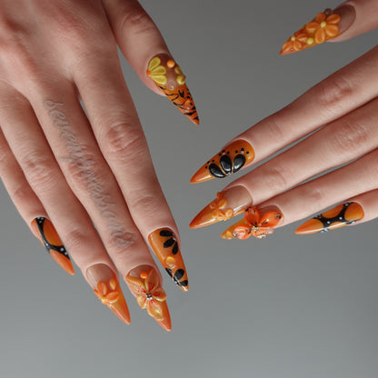 ✦ Solar Bloom Ember  2512117