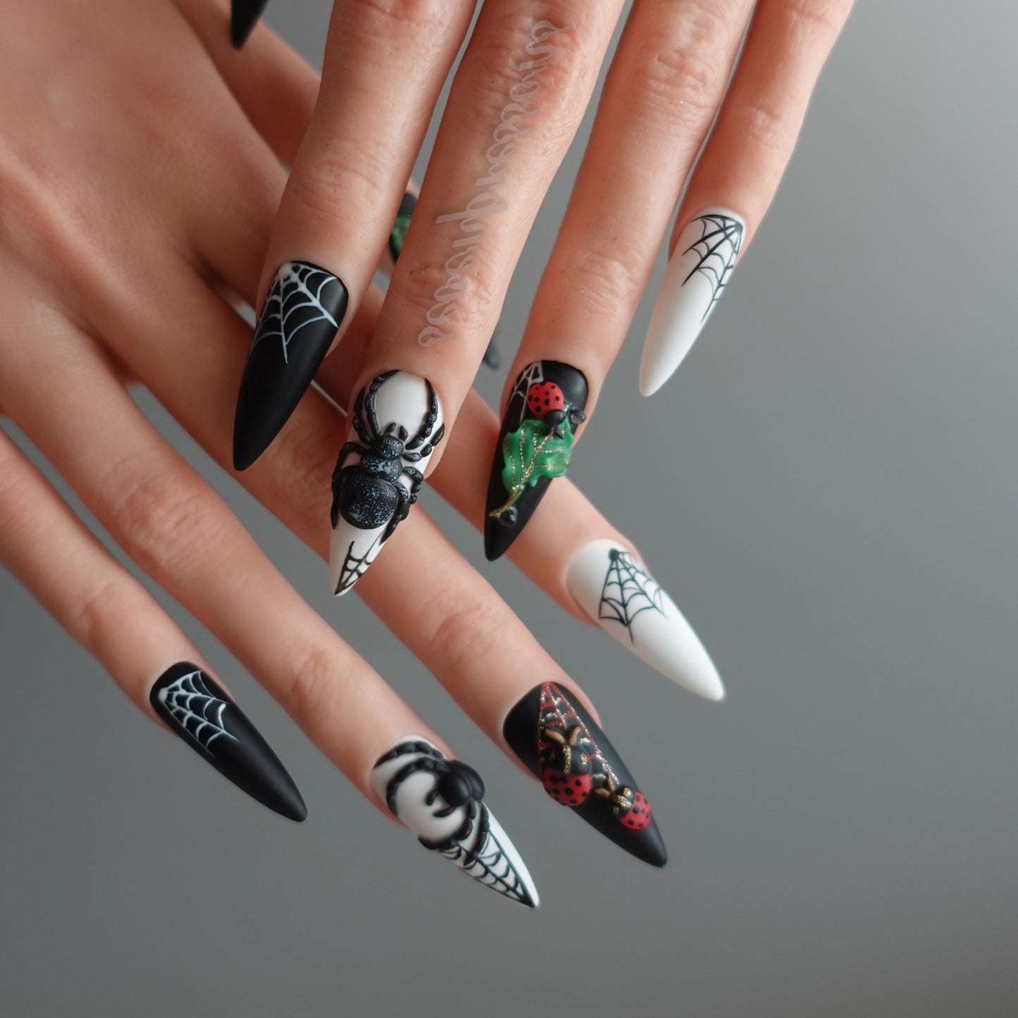 🌑 Widow’s Web  2510151