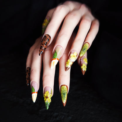 🐆 Tigerlily Savanna  2509275